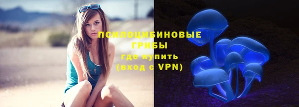 стафф Алексеевка