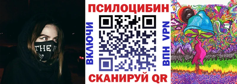 где можно купить   Порхов  Галлюциногенные грибы мицелий 